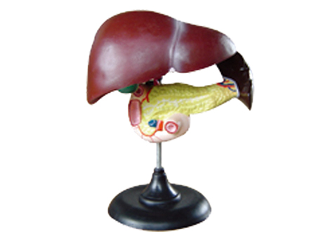 SD-093 33216����ʮ��֬�c�����Kģ��